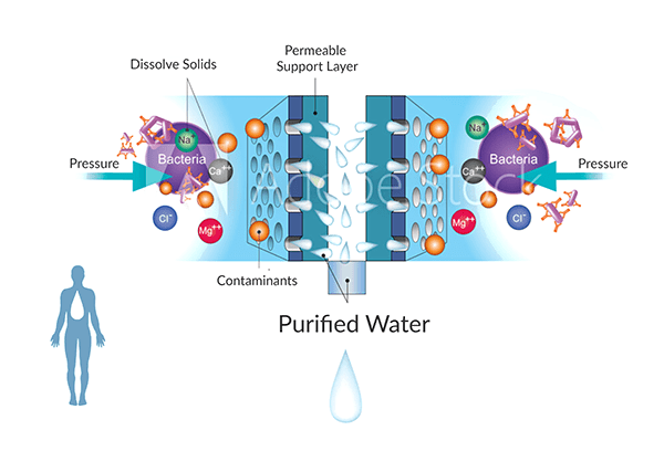 Reverse Osmosis Explained Zimbabwe